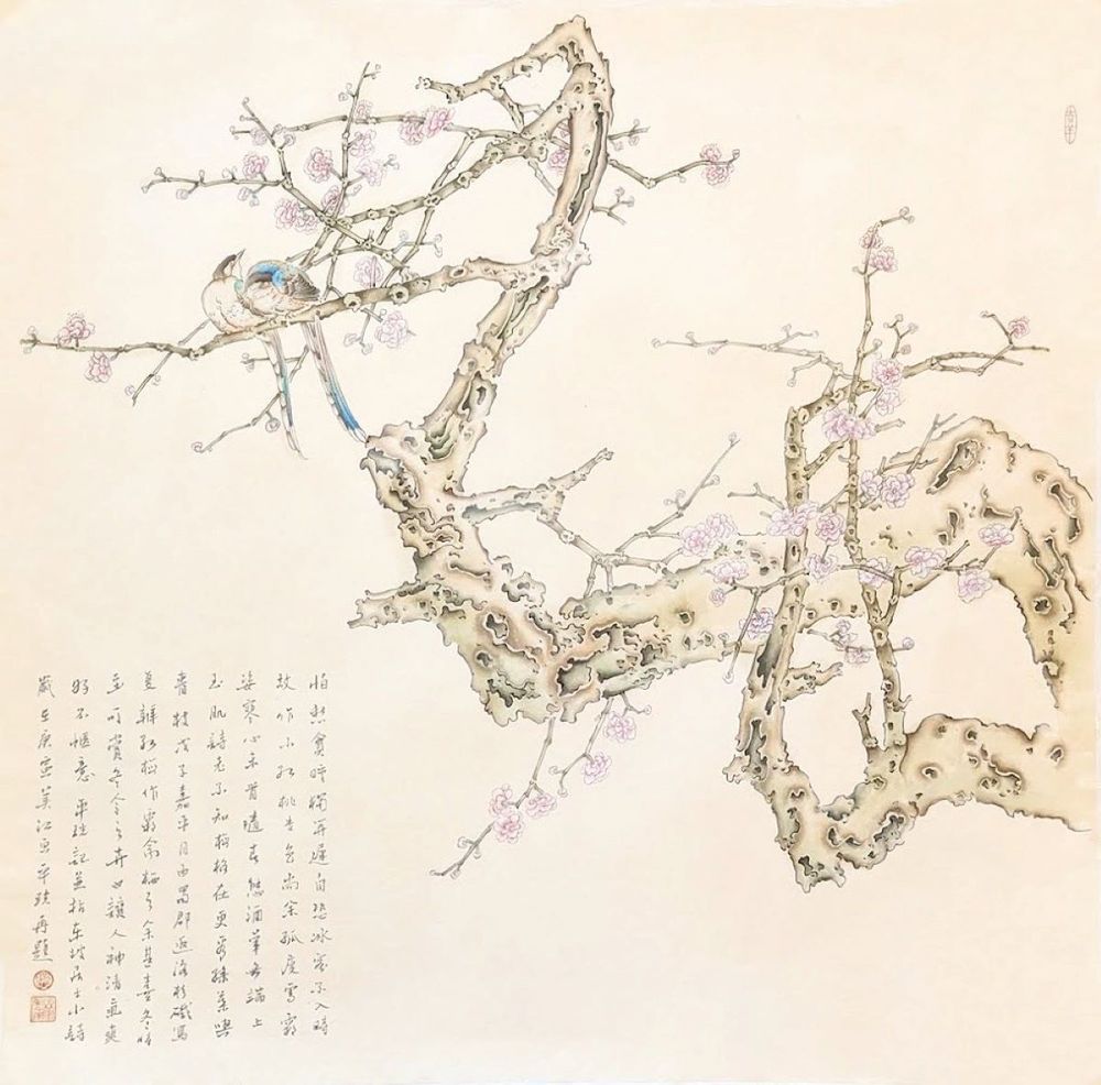 MARY CHENG - BLUE BIRDS ON CHERRY BLOSSOM - WATERCOLOR - 26.25 X 26