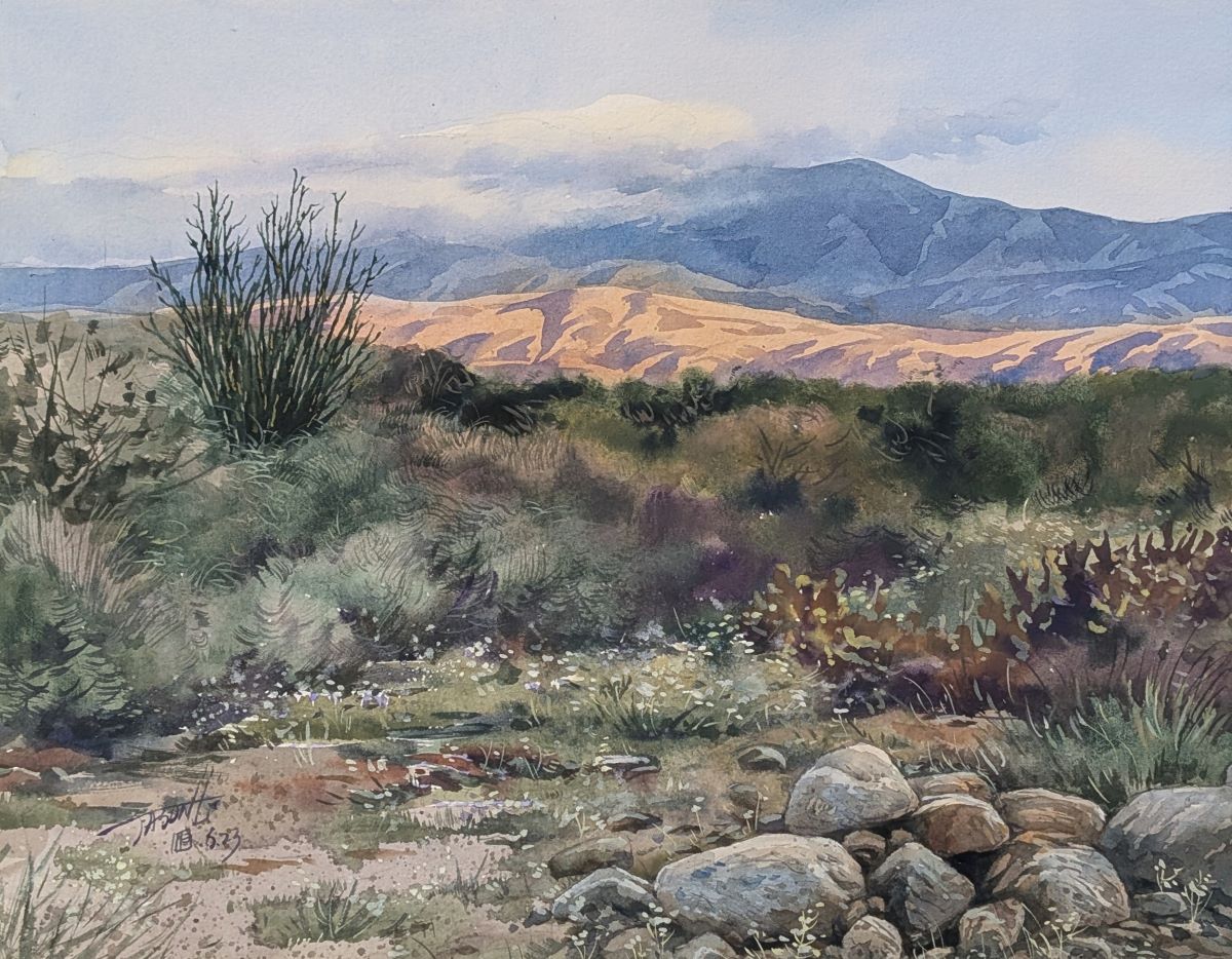 JASON LI - DESERT WILDFLOWERS - WATERCOLOR - 9 x 12