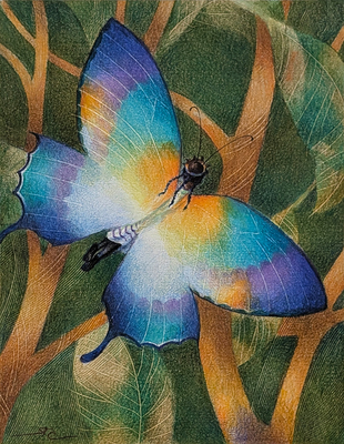 RAUL COLON - BUTTERFLY - WATERCOLOR & PENCIL - 9.5 x 12